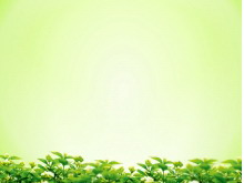 绿色透明叶子唯美PPT背景图片